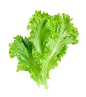 lettuce-healthnfitnessadvise-com