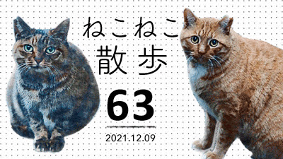 ねこねこ散歩☆MOVIE（63）
