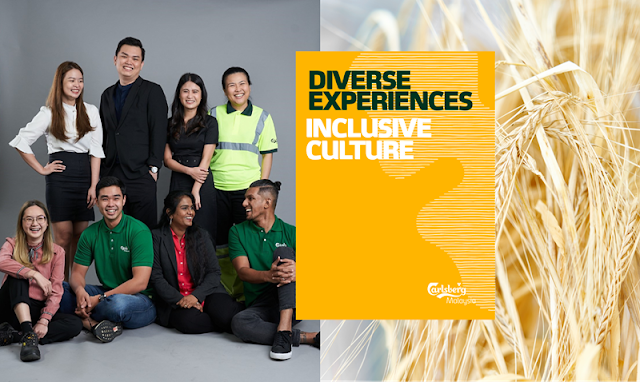 Diversity, Equity and Inclusion DE&I Programme