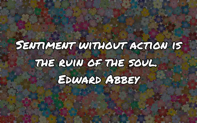 Sentiment without action is the ruin of the soul. Edward Abbey
