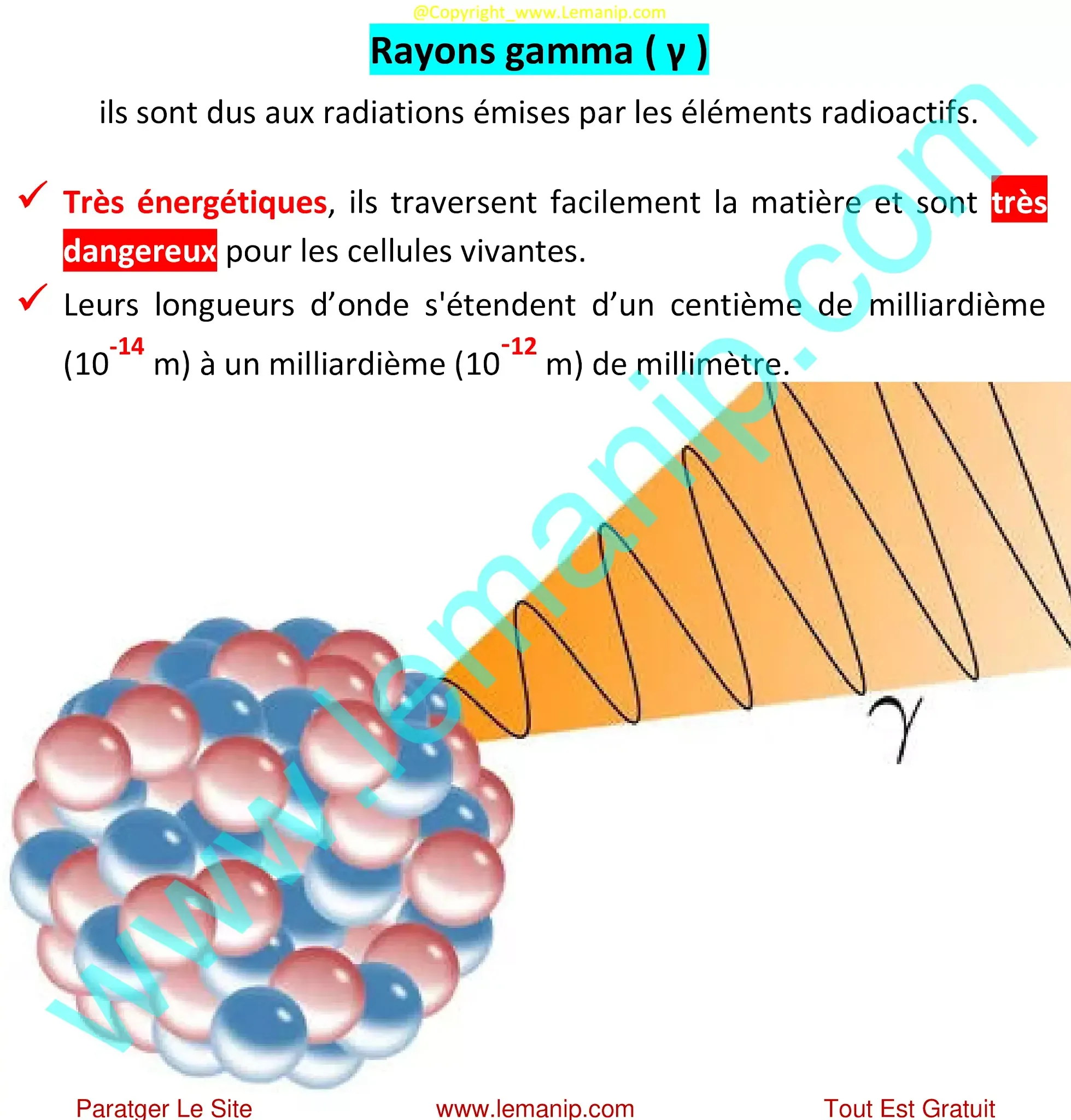 Rayons gamma ( γ )