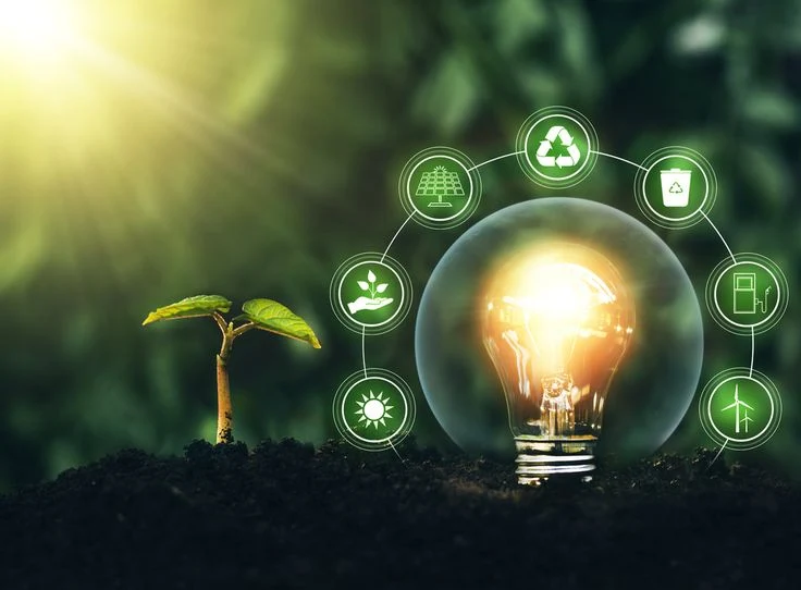 The Rise of Pension Funds in Renewable Energy
