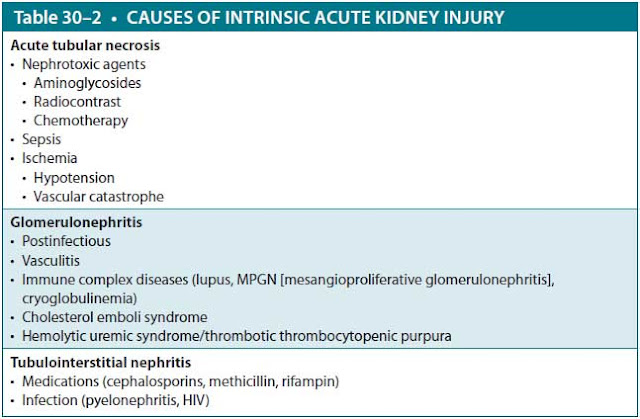 causes of intrinsic acute kidney injury