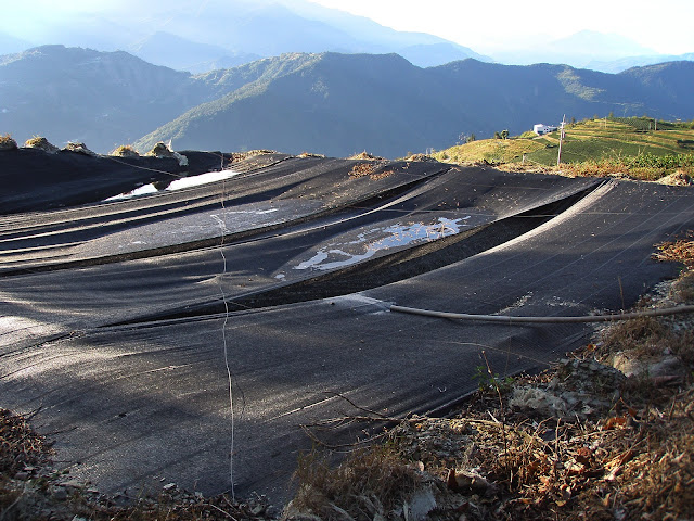 茶園工寮望登山口