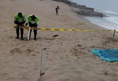 Cae avióneta privada en playas al norte del Puerto de Veracruz; hay 3 personas muertas