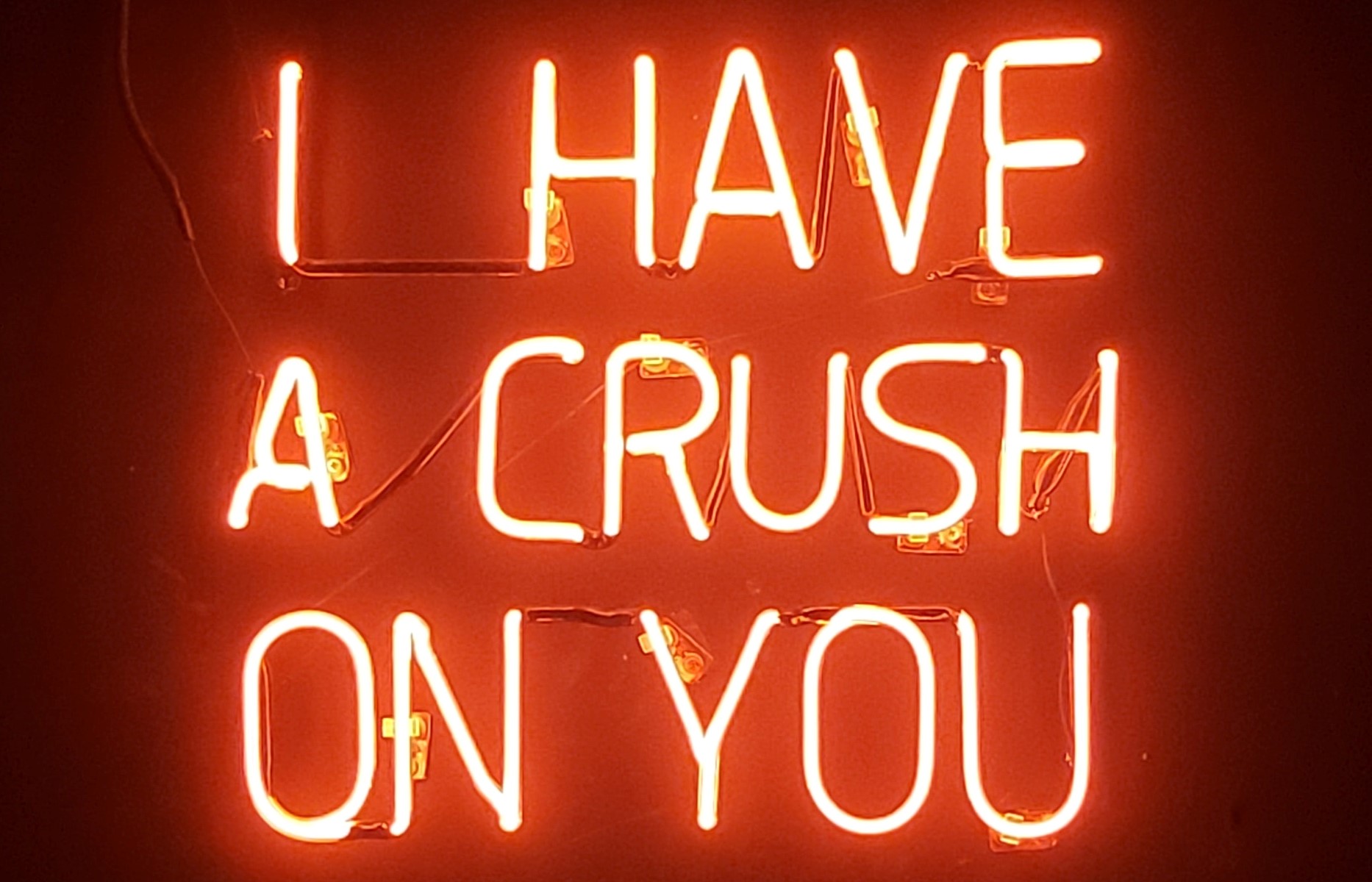 I have a crush on you (one-sided love stories) True Love. Crush image