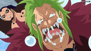 ワンピースアニメ ドレスローザ編 745話 イデオ バルトロメオ | ONE PIECE Episode 745