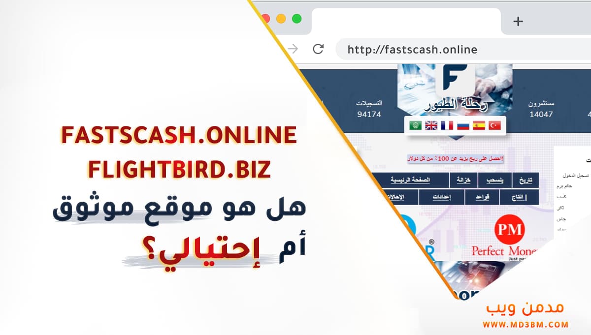 فاست كاش أو رحلة الطيور flightbird