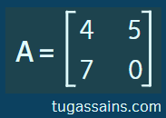 Matriks 2x2