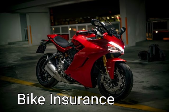 Which motorcycles cost the most to insure?