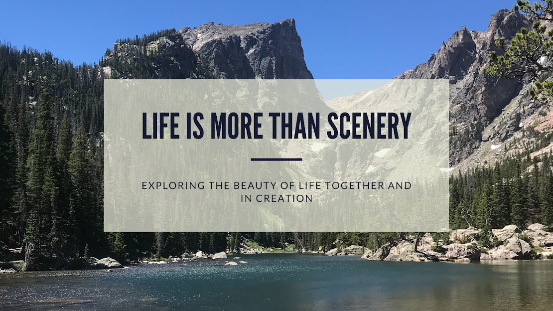 Life is More than Scenery