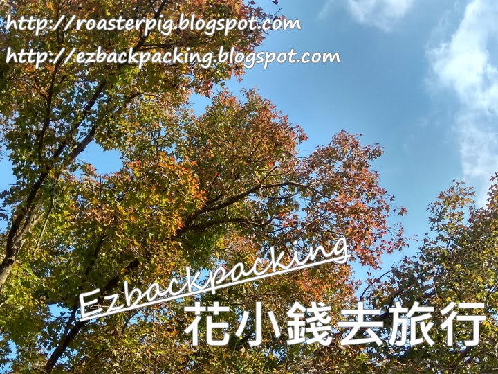 鶴藪水塘楓香林