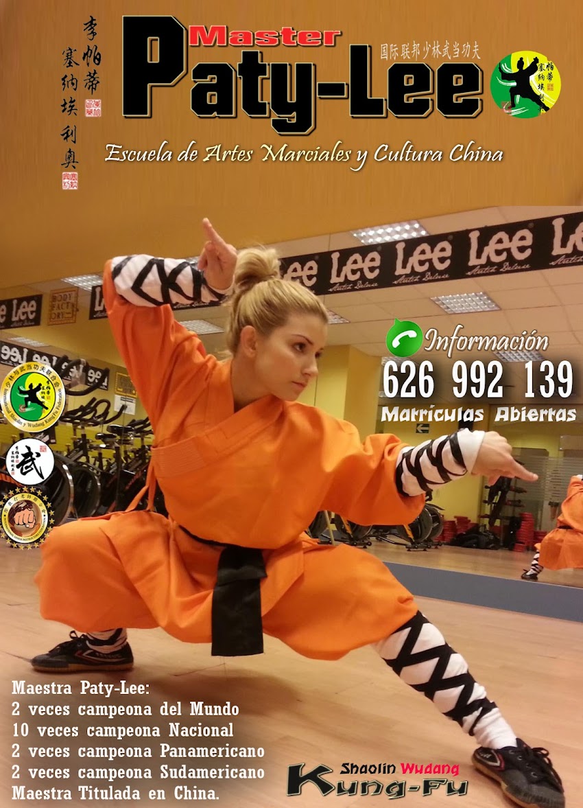 Clases y Cursos de Kung Fu / Wing Chun / Sanda / Defensa Personal. Móvil: 626992139.