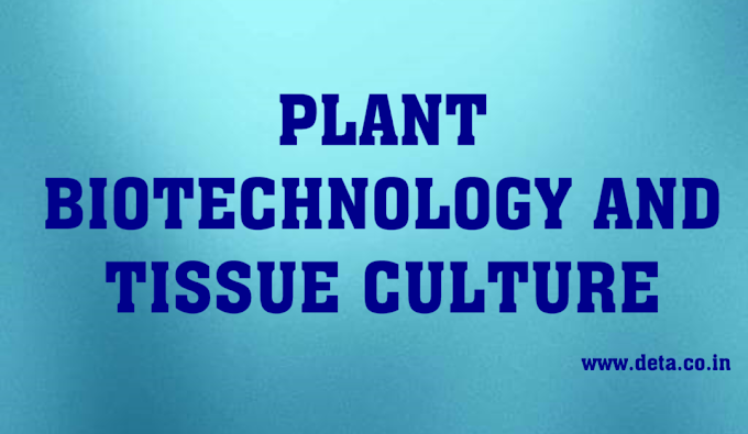 [VSQ]PLANT BIOTECHNOLOGY AND TISSUE CULTURE, SET 08