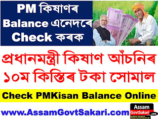 Check PM Kisan Balance Online