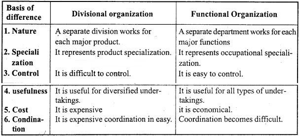 The differences between divisional and functional organization :