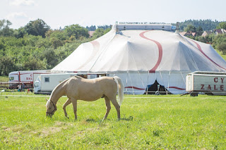 Circos con animales