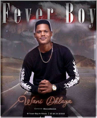 Fever Boy - Wani Dlhaya | Download Mp3