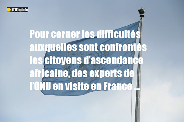 Pour cerner les difficultés auxquelles sont confrontés les citoyens d’ascendance africaine, des experts de l’ONU en visite en France