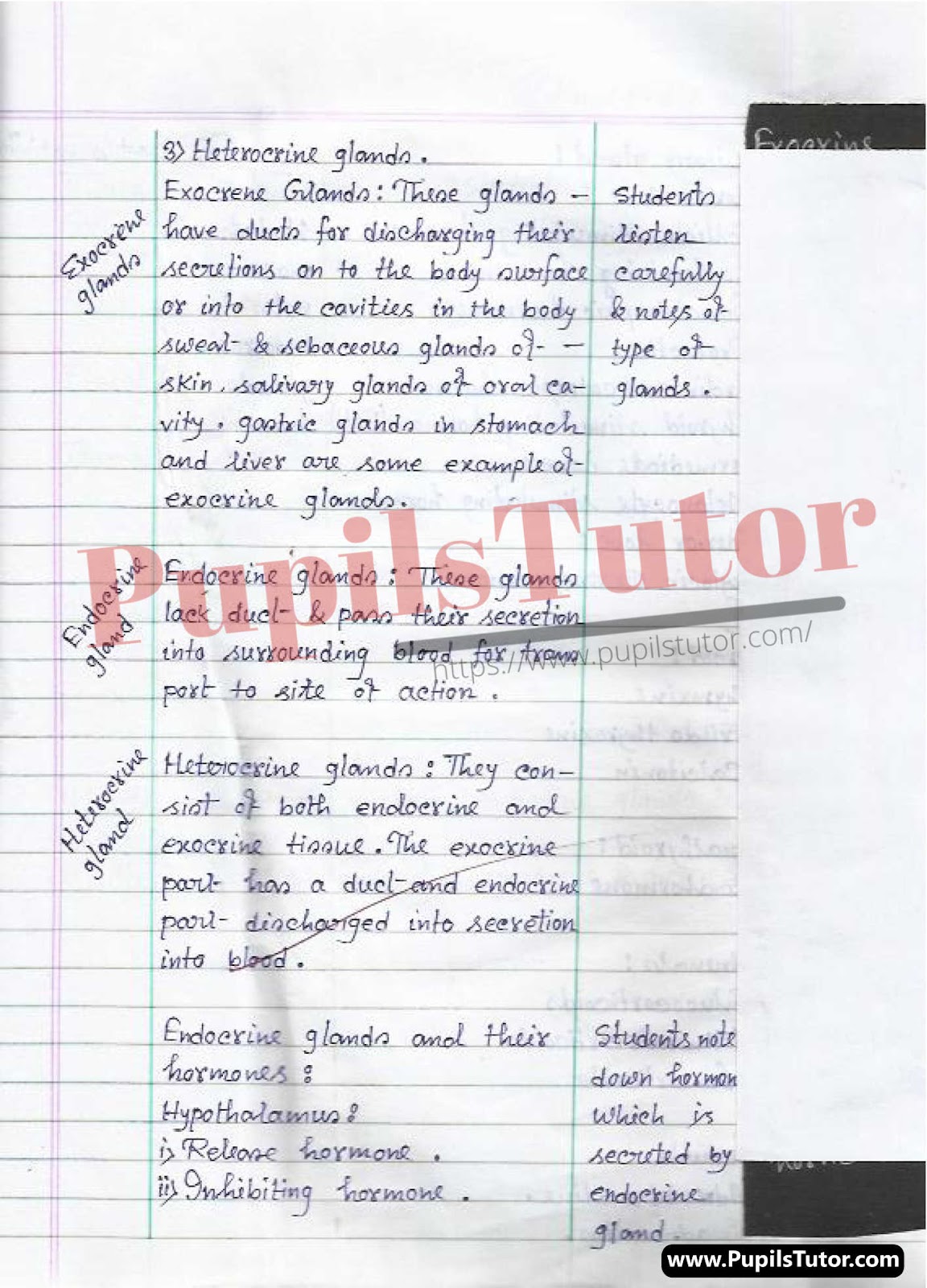 Class/Grade 8 Biology Lesson Plan On Functions And Types Of Glands For CBSE NCERT KVS School And University College Teachers – (Page And Image Number 3) – www.pupilstutor.com