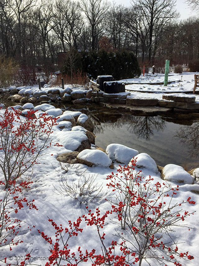 Cantigny Park, Wheaton, IL, winter, Idea garden, snow, winterberry