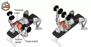 10 Exercises to Broaden and Strengthen your Shoulders