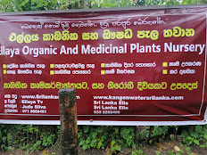 කාබනික සහ ඖෂධය පැල තවාන Organic and medicinal plant nursery