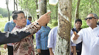 Pemkab Tubaba dan Muhammadiyah Buka Investasi Bagi Mercu Biotech Group.