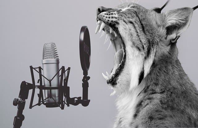 lynx yelling into microphone