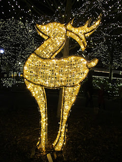 Lighted Reindeer at Carowinds