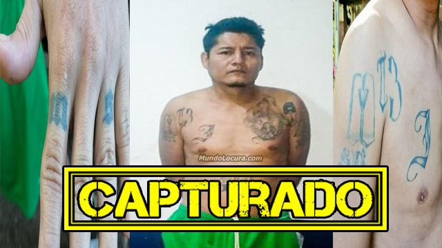 El Salvador: Capturan a alias «Colmillo», pandillero de la Mara Salvatrucha fue ubicado en Sonsonate
