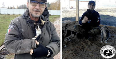 'Moriré por mis animales': rescatista de animales en Kiev se queda para proteger a más de 400 animales rescatados