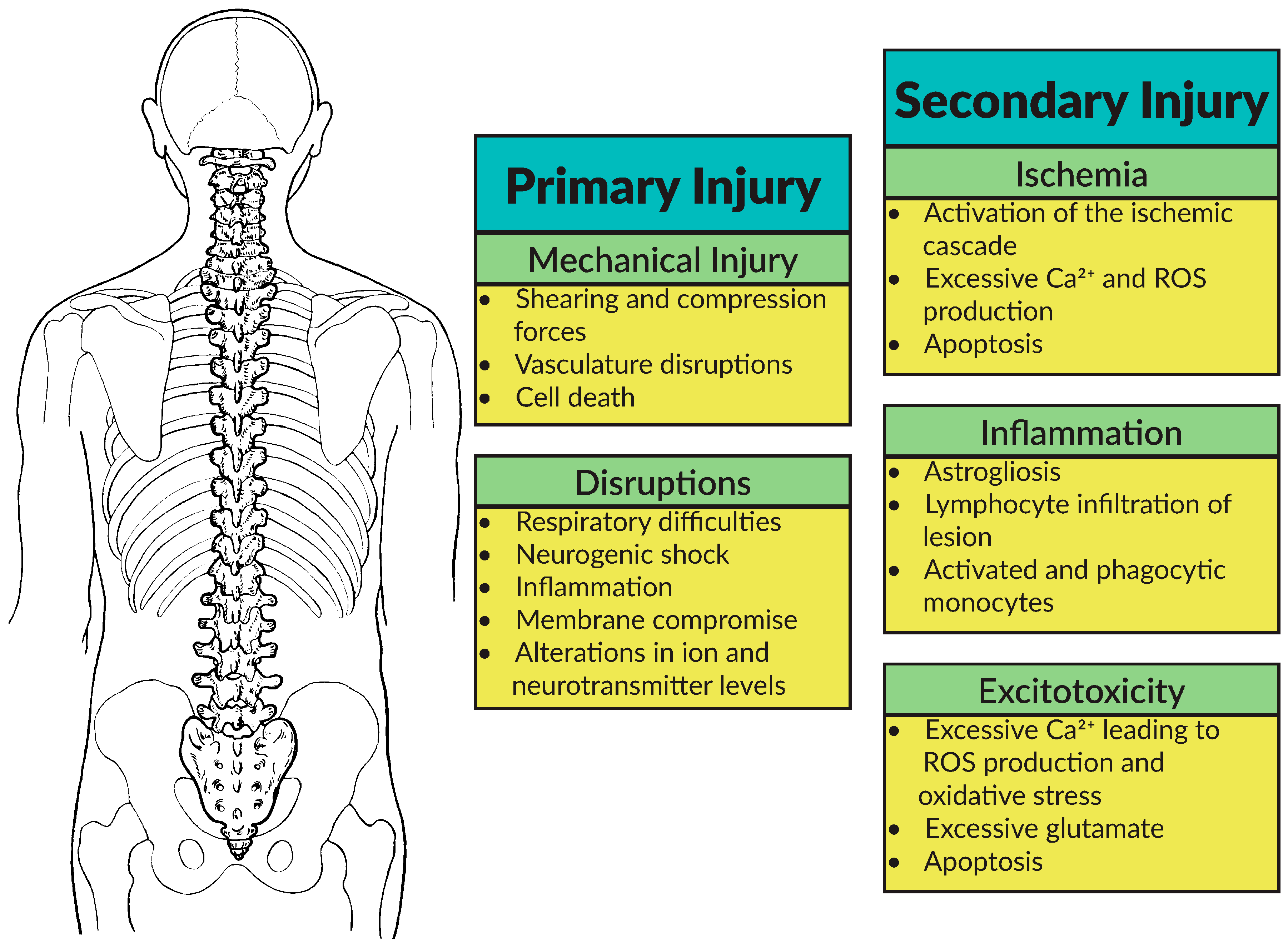 Injury at the top of the cervix