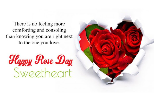Quotes on rose day,Rose Day Quotes for Love,Rose Day Status,Rose Day Shayari,Rose Day Quotes for Him,Happy Rose Day Status,Rose day Quotes for Friends,Happy Rose Day Shayari,