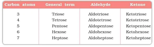 Biomolecules Chemistry Class 12 Notes