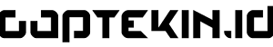 GAPTEKIN ID