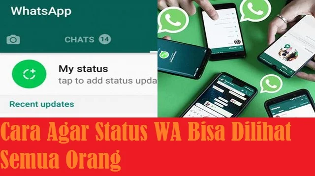 Cara Agar Status WA Bisa Dilihat Semua Orang