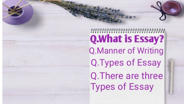 How to Write an Essay - Beginner