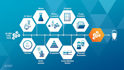 Cell Line Development; Plays an Important Role in Drug Discovery/Development Process