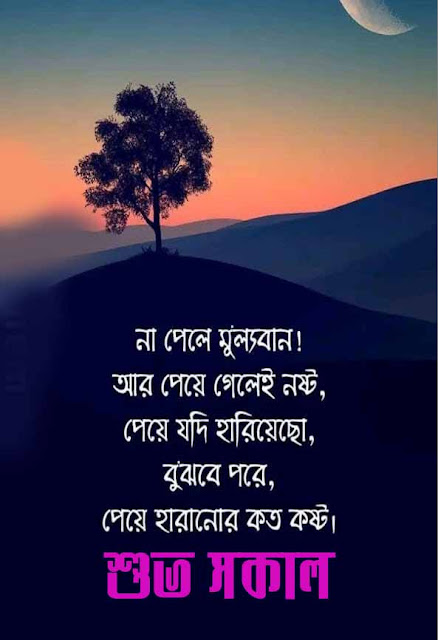 Good Morning Quotes in Bengali