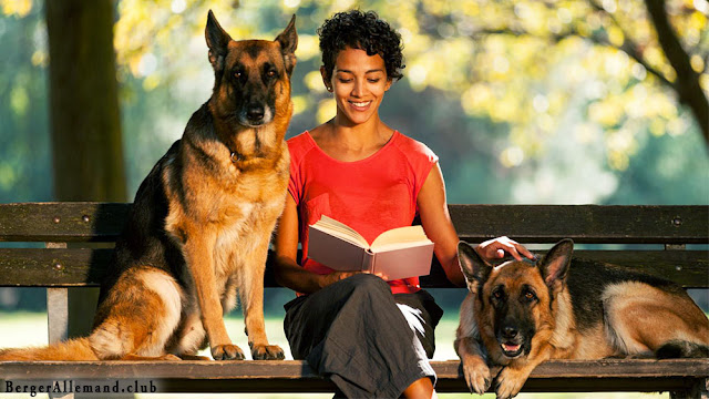 deux chiens bergers allemands avec une femme