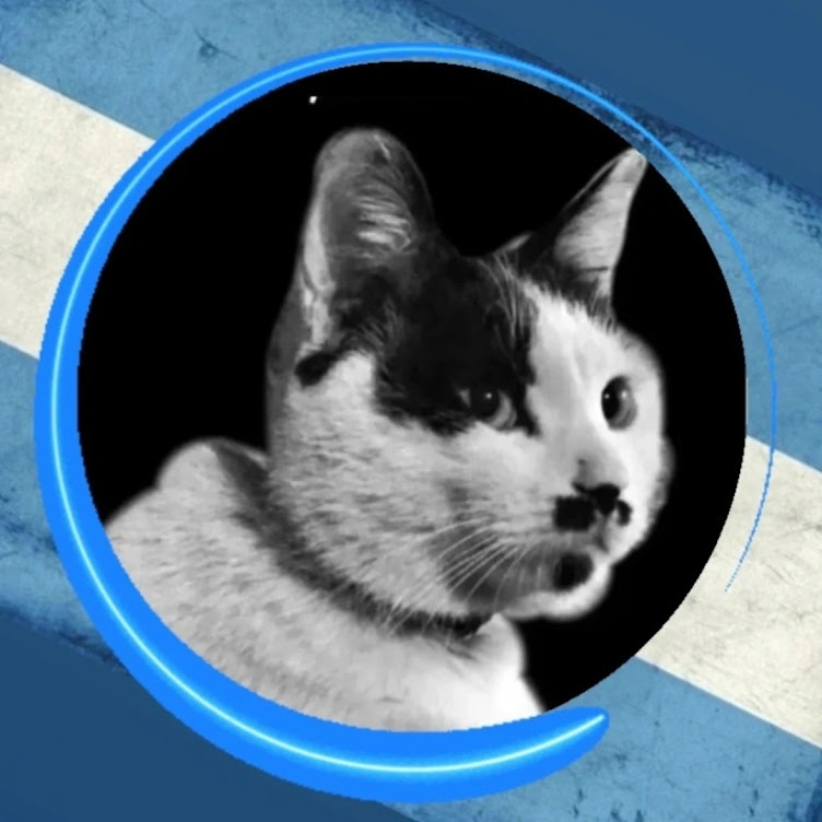 Guardianes Felinos MDQ 🇦🇷 cabecera Feline Guardians Without Borders