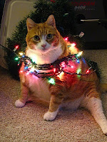 Gatos vs árboles de Navidad