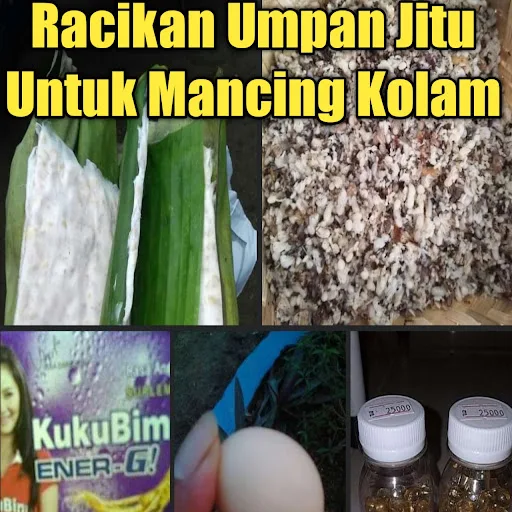 Buat Umpan Racikan Tempe dan Kuku Bima Anggur Jitu Banget - Ini umpan yang di khususkan untuk mancing di kolam saja ya, karean memang diandalkan sekali untuk beberapa jenis ikan saja seperti Nila, Mas, Gurame dan lainnya