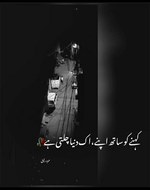 One line poetry Quotes In Urdu, One line Quotes In Urdu text, Deep one Line Quotes In Urdu, Urdu one line Quotes about life, Golden Words In Urdu one line, One line Love Poetry In Urdu, 1 line poetry In Urdu text,One Line Poetry in Urdu Attitude, One line poetry Love, One line poetry caption.