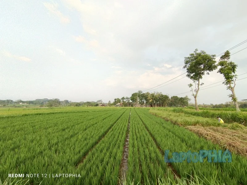 Hasil Foto Kamera Ultra Wide Angle Xiaomi Redmi Note 12