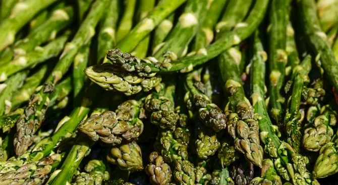 Top 9 Health Benefits of Asparagus