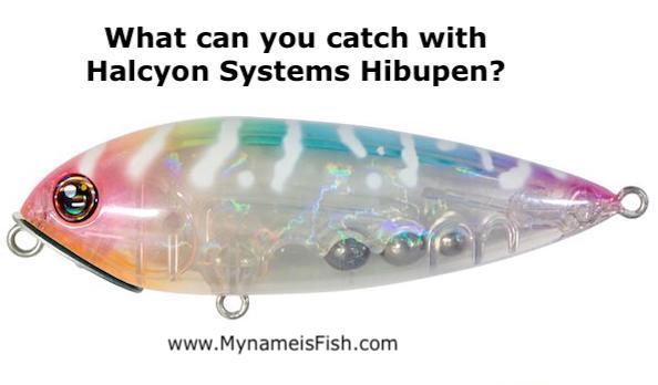 Halcyon System Hibupen Topwater Lure