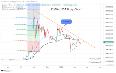 Daily chart elon