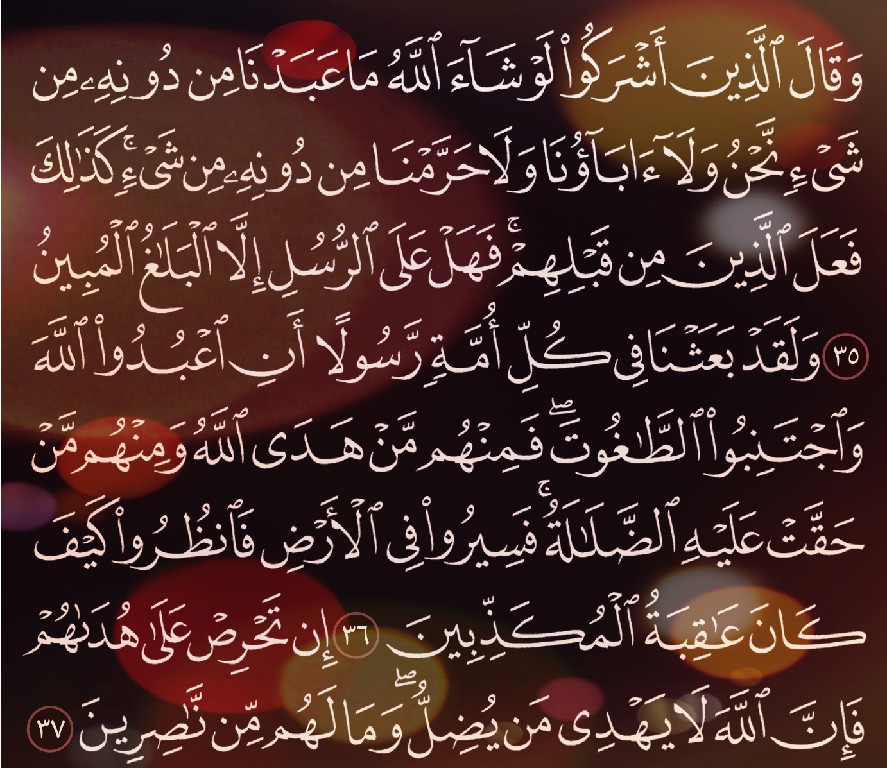 شرح وتفسير, سورة النحل, Surah An-Nahl, من الآية 35, إلى الاية 54, surah rahman,quran,surah yaseen,surah yasin,surah,yaseen surah,yasin surah full,yaseen surah full,surah yasin full,surah yaseen ki tilawat, quran,سورة البقرة,سورة يس,سورة الملك,سورة الواقعة,سورة البقرة ماهر المعيقلي,سورة الرحمن,سورة,سورة البقرة السديس,سورة الكهف عبد الباسط